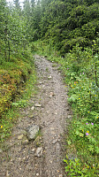 Rostro_20240710_668ebd3f4c389.jpg