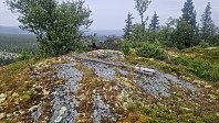 Rostro_20240710_668ebd43aaff7.jpg