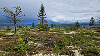 Rostro_20240711_668f88dfbca07.jpg