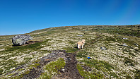 Rostro_20240713_669296749ee15.jpg