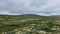 Rostro_20240715_6695426dc4d34.jpg