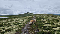 Rostro_20240717_6697b1e79f570.jpg