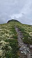 Rostro_20240717_6697b1e9040c5.jpg