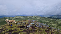 Rostro_20240717_6697b1ebec729.jpg