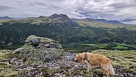 Rostro_20240718_66990446e3ead.jpg