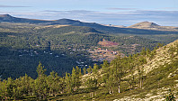 Rostro_20240725_66a2a7f203a7a.jpg