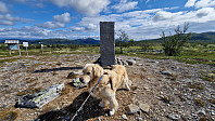 Rostro_20240728_66a6774167abc.jpg