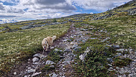 Rostro_20240728_66a67744ea0f3.jpg