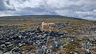 Rostro_20240728_66a67746cb76b.jpg