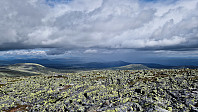 Rostro_20240728_66a6774d69e52.jpg