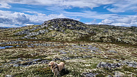 Rostro_20240728_66a67cf01155e.jpg