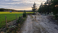 Rostro_20240801_66abe487eccb9.jpg