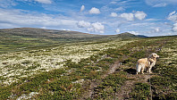 Rostro_20240804_66afa9f1a5d4b.jpg