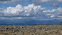 Rostro_20240804_66afa9fae28e1.jpg