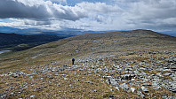 Rostro_20240811_66b8fa28a3772.jpg