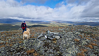 Rostro_20240811_66b8fa3435ab3.jpg