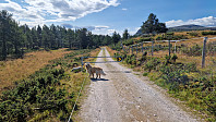 Rostro_20240817_66c0d3f186f64.jpg