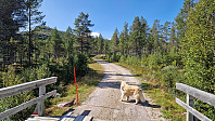 Rostro_20240817_66c0d3f4b2630.jpg