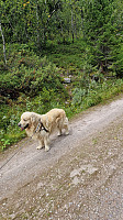 Rostro_20240817_66c0d3f653368.jpg