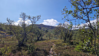 Rostro_20240817_66c0d3f8315b8.jpg