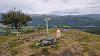 Rostro_20240818_66c1f60c248a3.jpg