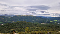 Rostro_20240818_66c1f60f11eee.jpg
