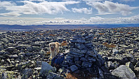Rostro_20240824_66c9df28dc8d6.jpg