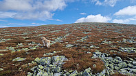 Rostro_20240824_66c9df2a4a329.jpg
