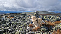 Rostro_20240824_66c9df2c00dba.jpg