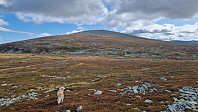 Rostro_20240824_66c9df2d571b9.jpg
