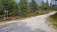 Rostro_20240825_66cb52a2b236e.jpg