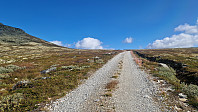 Rostro_20240825_66cb52a46c763.jpg
