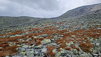 Rostro_20240825_66cb52aa97184.jpg
