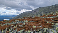 Rostro_20240825_66cb52ac1e62c.jpg