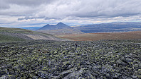 Rostro_20240825_66cb52ad795d7.jpg