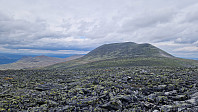 Rostro_20240825_66cb52b15647b.jpg
