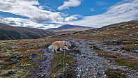 Rostro_20240831_66d31bd0caf05.jpg