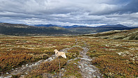 Rostro_20240831_66d31bdb1c06d.jpg