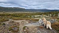 Rostro_20240831_66d31bdca0099.jpg