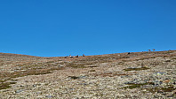 Rostro_20240901_66d47fd1b550a.jpg