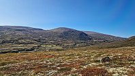 Rostro_20240901_66d47fe14c1c1.jpg