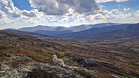 Rostro_20240907_66dc8f31f3935.jpg