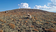 Rostro_20240907_66dc8f3be14d9.jpg