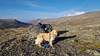 Rostro_20240907_66dc8f3f47884.jpg