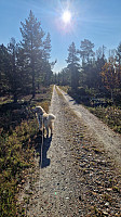 Rostro_20240915_66e6bf07cfba8.jpg