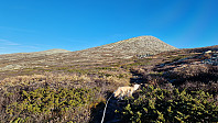 Rostro_20240920_66ed7c0ea8011.jpg