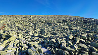 Rostro_20240920_66ed7c14bfa25.jpg