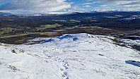 Rostro_20240929_66f94ec411a74.jpg