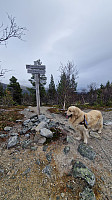 Rostro_20241005_67013e682f86b.jpg