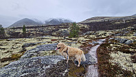 Rostro_20241005_67013e698cadb.jpg